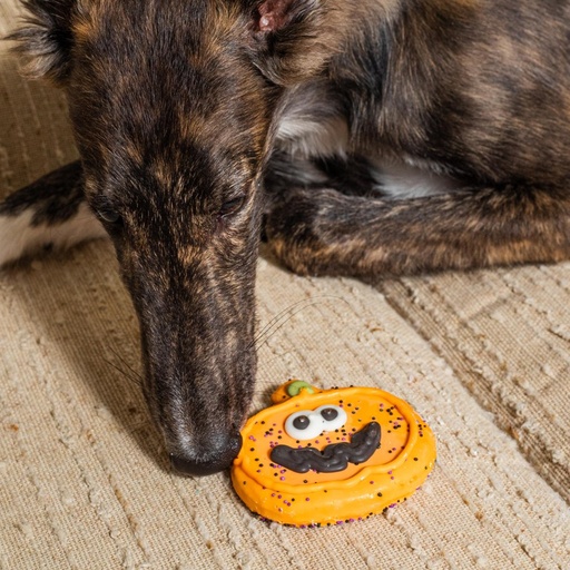 Bosco & Roxy's Dog Sir Squash-a-lot Halloween