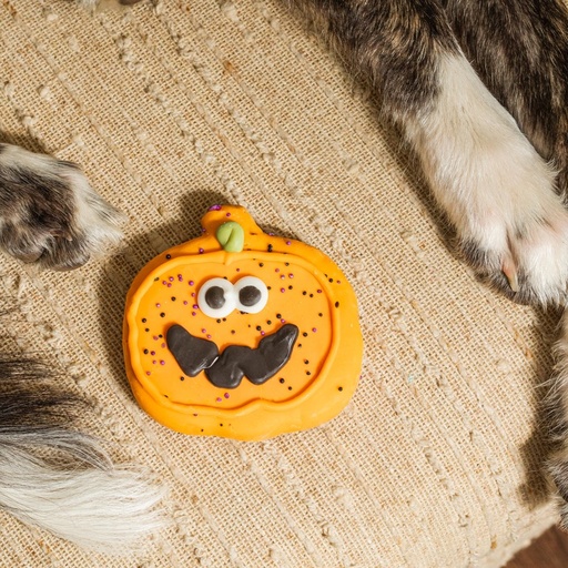Bosco & Roxy's Dog Sir Squash-a-lot Halloween