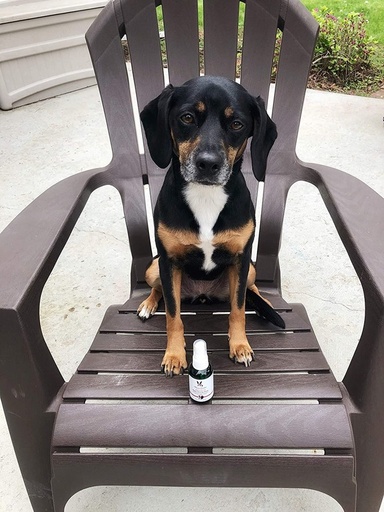 Warren London Essential Oil Dog Calming