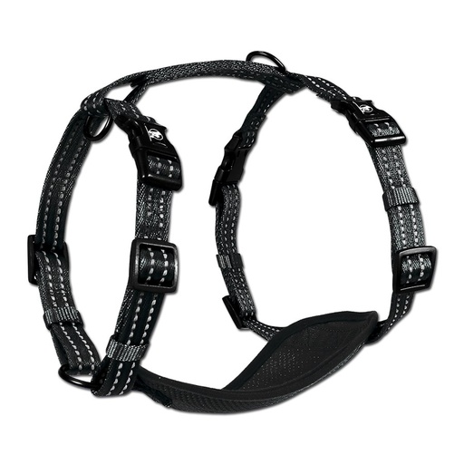 Alcott Adv Harness Medium Black