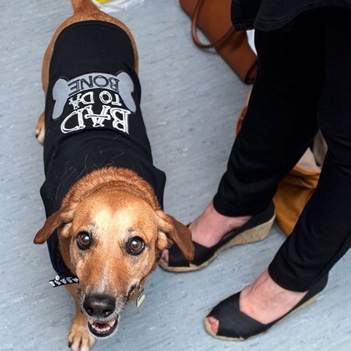 Bad To Da Bone - Black / Xl