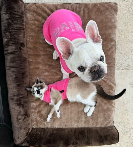 Diva - Pink / S