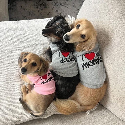 I Love Daddy - Gray / S