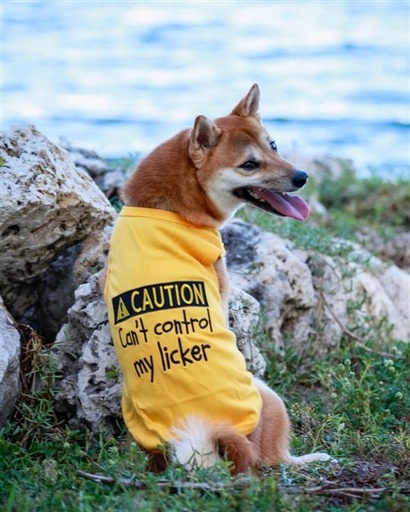 Licker - Yellow / Xs