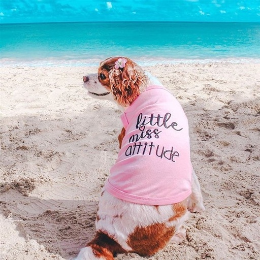 Little Miss Attitude - Pink / S
