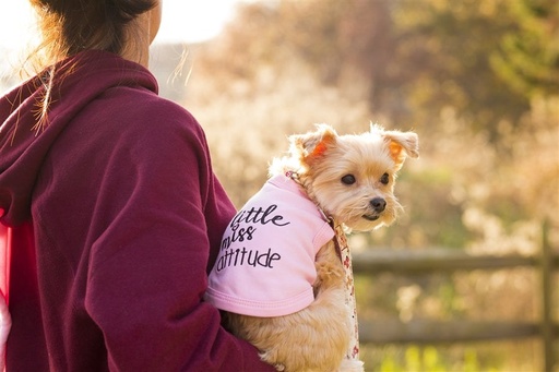 Little Miss Attitude - Pink / S