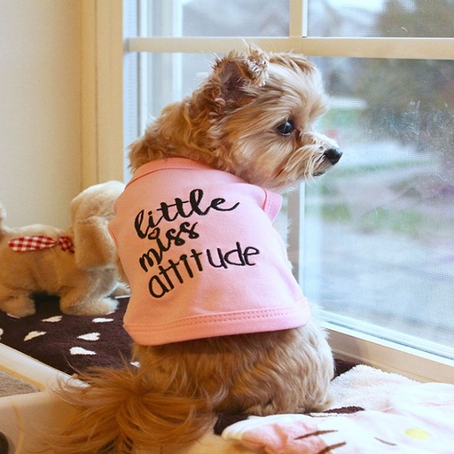 Little Miss Attitude - Pink / S