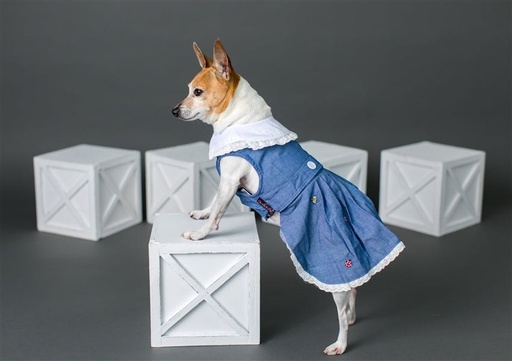 Prairie Dress - M