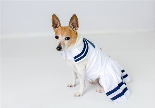 Sailor Dress - White - White / M