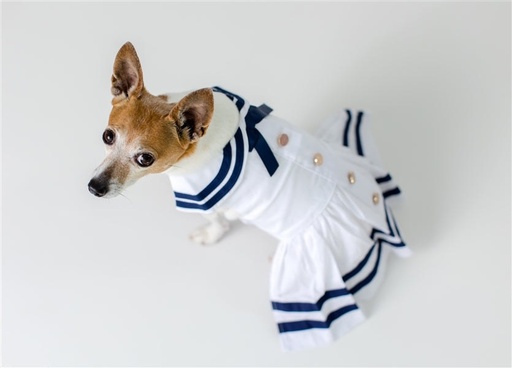 Sailor Dress - White - White / M
