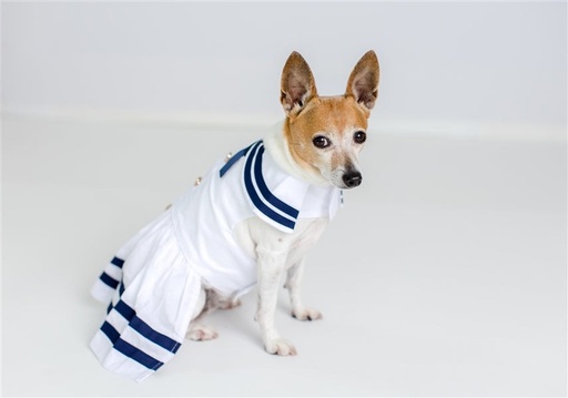 Sailor Dress - White - White / M