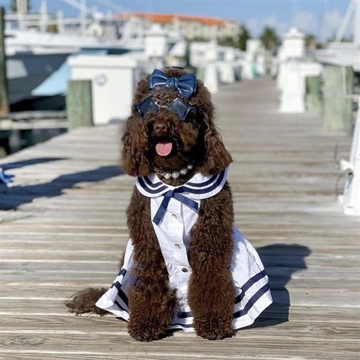Sailor Dress - White - White / S