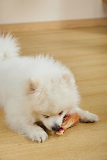 M-pets Carnivore Dog Toy Drumstick - Bacon Flavour