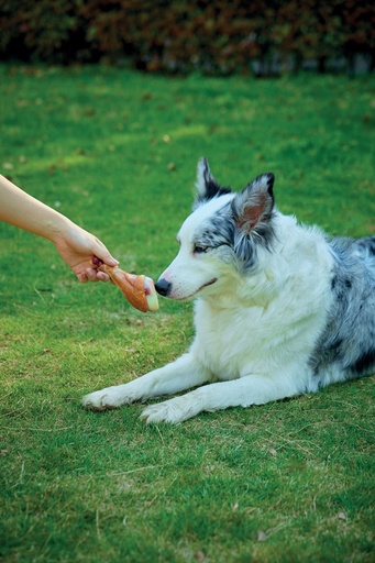M-pets Carnivore Dog Toy Drumstick - Bacon Flavour