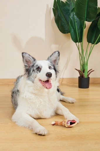 M-pets Carnivore Dog Toy Drumstick - Bacon Flavour