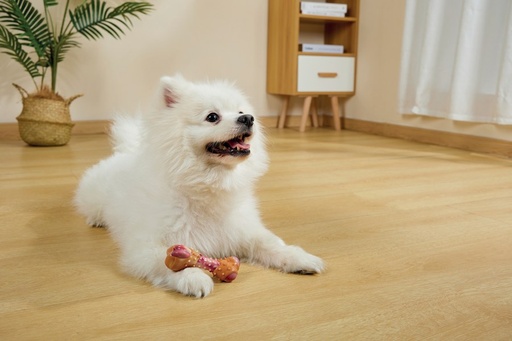 M-pets Carnivore Dog Toy Meaty Bone S - Bacon Flavour
