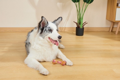 M-pets Carnivore Dog Toy Meaty Bone S - Bacon Flavour