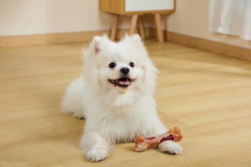 M-pets Carnivore Dog Toy Savoury Bone - Bacon Flavour
