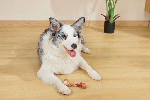 M-pets Carnivore Dog Toy Savoury Bone - Bacon Flavour