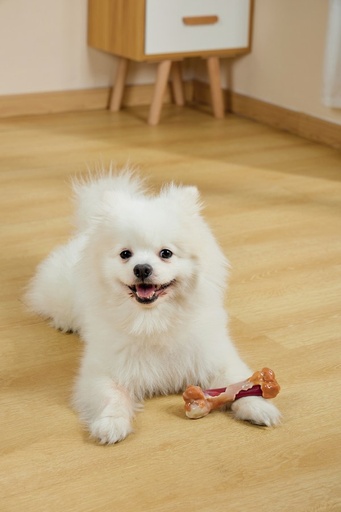 M-pets Carnivore Dog Toy Savoury Bone - Bacon Flavour