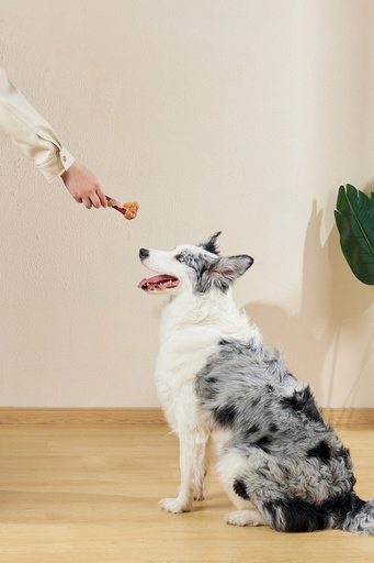 M-pets Carnivore Dog Toy Savoury Bone - Bacon Flavour
