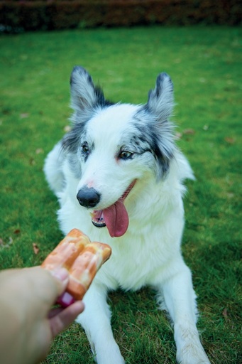 M-pets Carnivore Dog Toy Spare Ribs - Bacon Flavour