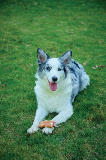 M-pets Carnivore Dog Toy Spare Ribs - Bacon Flavour