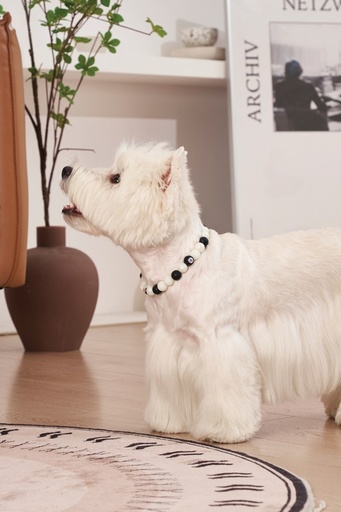 M-pets Catdog Luminous Pretty Collar L