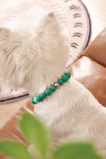 M-pets Catdog Luminous Pretty Collar M