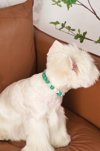 M-pets Catdog Luminous Pretty Collar M