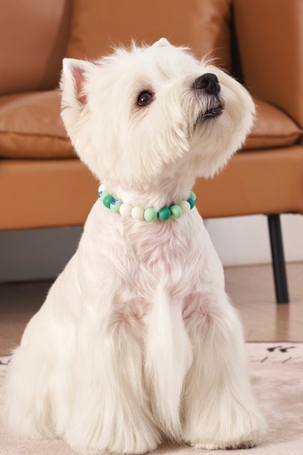 M-pets Catdog Luminous Pretty Collar M