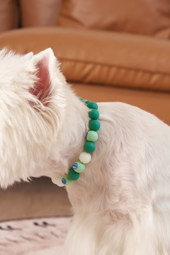 M-pets Catdog Luminous Pretty Collar M