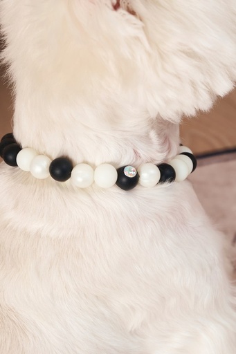 M-pets Catdog Luminous Pretty Collar M