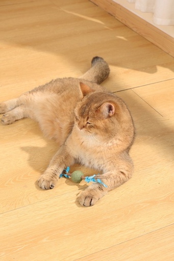 M-pets Charmy Catnip Toy - Tree Branch Blue