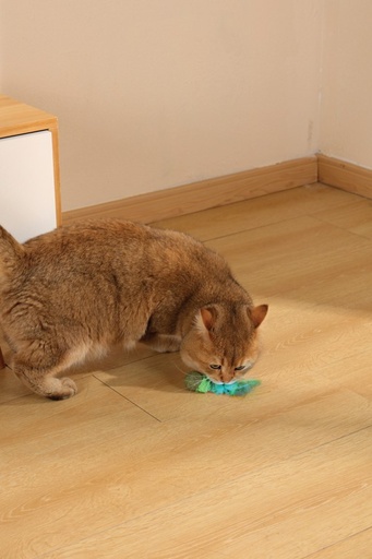 M-pets Charmy Catnip Toy Green