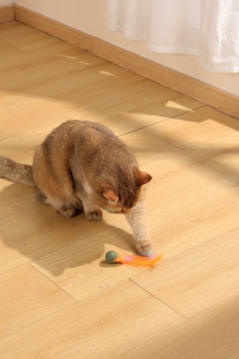 M-pets Charmy Catnip Toy Orange