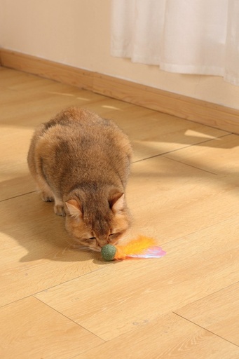 M-pets Charmy Catnip Toy Orange