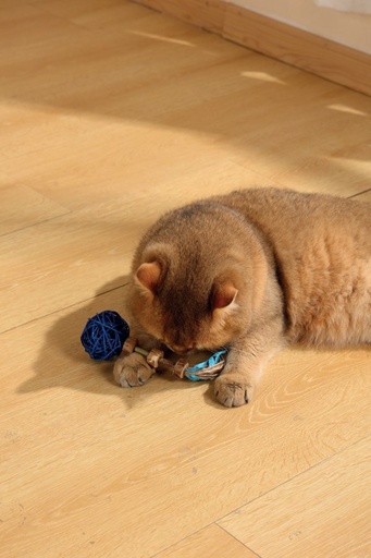 M-pets Charmy Matatabi Toy - Amulet Blue