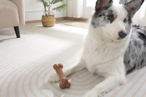 M-pets Chewood Dog Toy Large Bone L