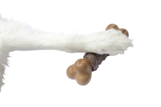 M-pets Chewood Dog Toy Large Bone With Rubber L