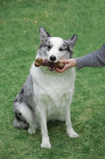 M-pets Chewood Dog Toy Large Bone With Rubber L