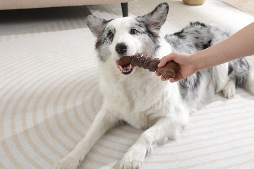 M-pets Chewood Dog Toy Large Bone With Rubber L
