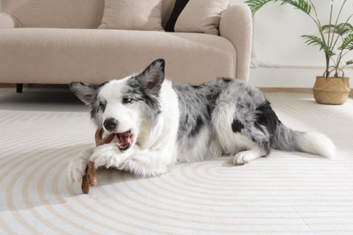 M-pets Chewood Dog Toy Large Branch L
