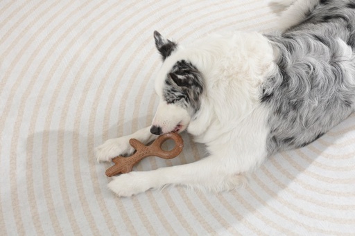 M-pets Chewood Dog Toy Large Branch L