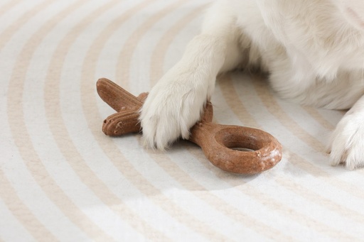 M-pets Chewood Dog Toy Large Branch L
