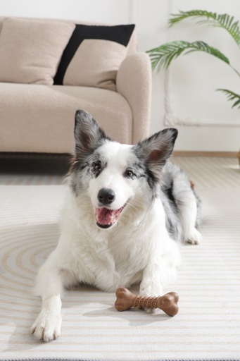 M-pets Chewood Dog Toy Small Bone S