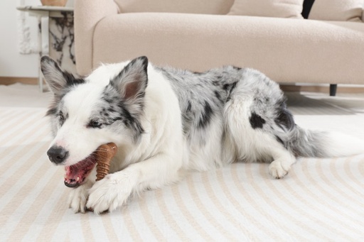 M-pets Chewood Dog Toy Small Bone S