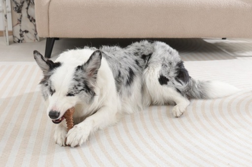M-pets Chewood Dog Toy Small Bone S