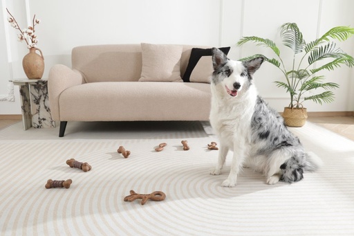 M-pets Chewood Dog Toy Small Bone S
