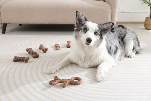 M-pets Chewood Dog Toy Small Bone S